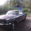 buchanans361